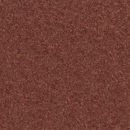 Shaw Floors Nfa/Apg Subtle Charm II Serene Sunset (s)