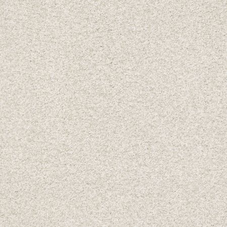 Shaw Floors Nfa/Apg Subtle Charm Tonal I Warm Blanket (t)