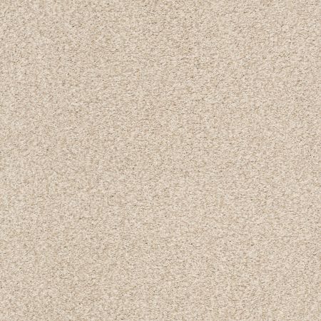 Shaw Floors Nfa/Apg Subtle Charm Tonal I Happy Place (t)