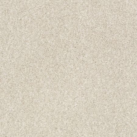 Shaw Floors Nfa/Apg Subtle Charm Tonal I Homemade Ice Cream (t)
