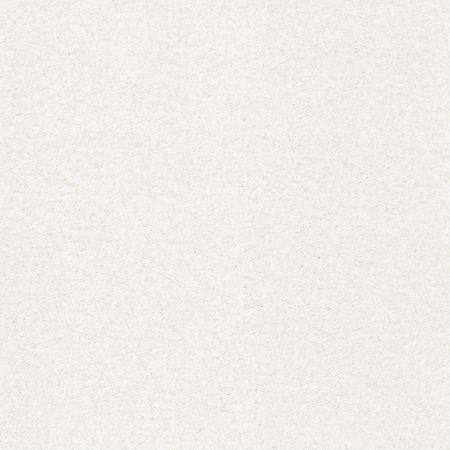 Shaw Floors Nfa/Apg Subtle Charm Tonal I Gallery Opening (t)