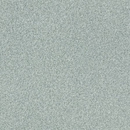 Shaw Floors Nfa/Apg Subtle Charm Tonal I Distant Valley (t)