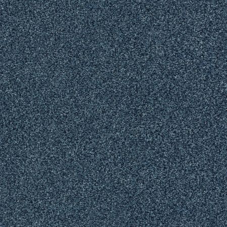 Shaw Floors Nfa/Apg Subtle Charm Tonal I Twilight Golf (t)