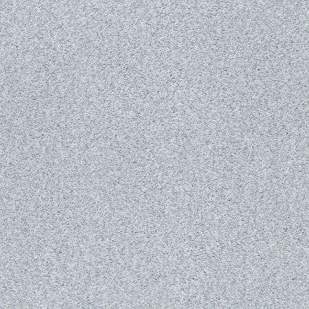 Shaw Floors Nfa/Apg Subtle Charm Tonal I Winter Sky (t)