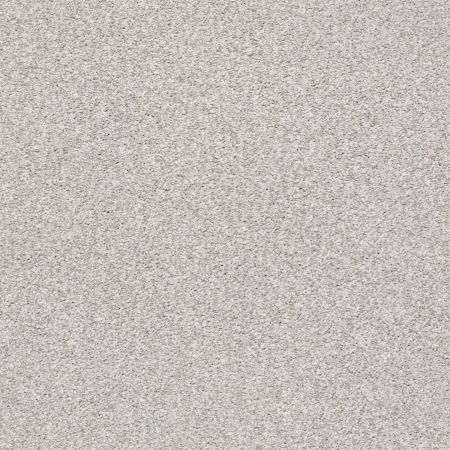 Shaw Floors Nfa/Apg Subtle Charm Tonal I Quiet Time (t)