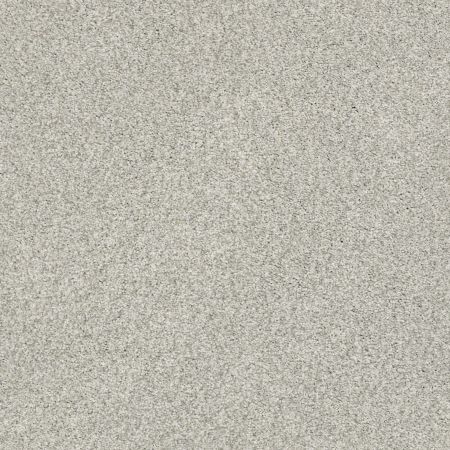 Shaw Floors Nfa/Apg Subtle Charm Tonal I Refreshed (t)