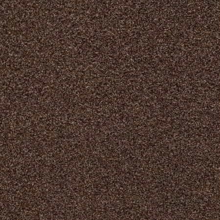 Shaw Floors Nfa/Apg Subtle Charm Tonal I Chocolate Treat (t)