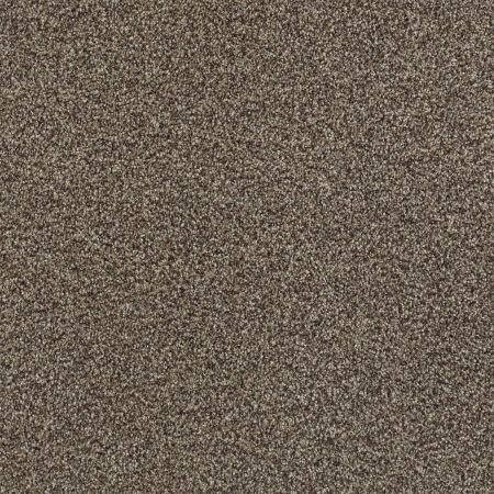 Shaw Floors Nfa/Apg Subtle Charm Tonal I Summer House (t)