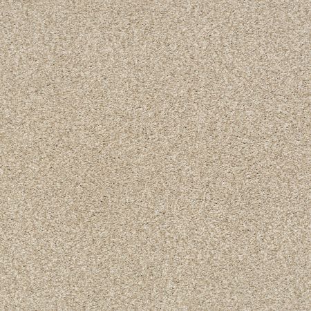 Shaw Floors Nfa/Apg Subtle Charm Tonal I Dinner With Friends (t)