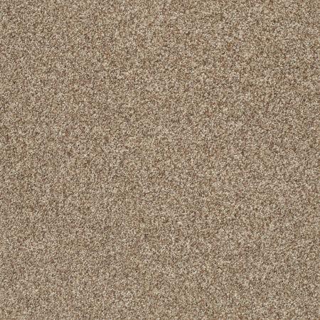 Shaw Floors Nfa/Apg Subtle Charm Tonal I Camping Trip (t)