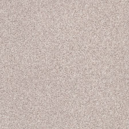 Shaw Floors Nfa/Apg Subtle Charm Tonal I Evening In Paris (t)