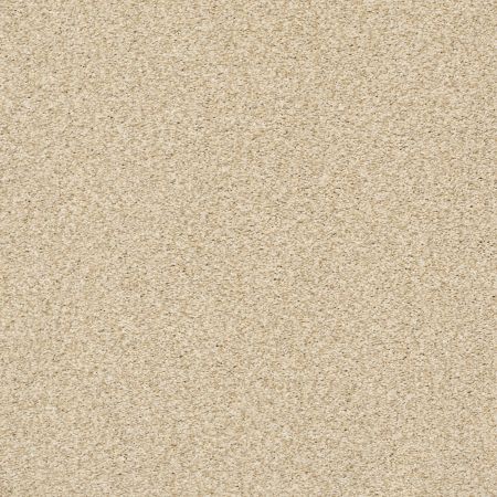 Shaw Floors Nfa/Apg Subtle Charm Tonal II Sun Kissed (t)