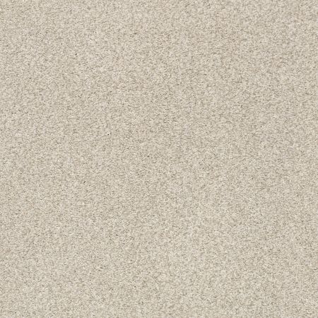 Shaw Floors Nfa/Apg Subtle Charm Tonal II Sand Castle (t)
