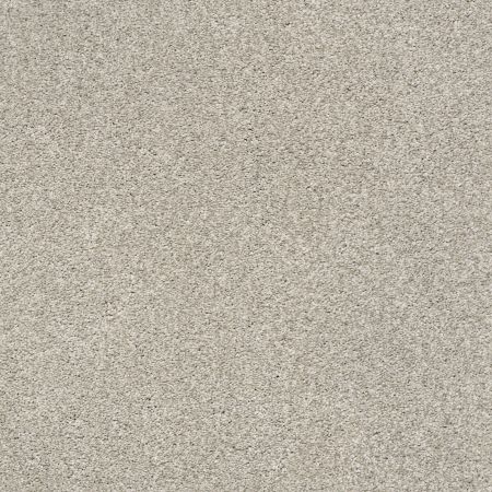 Shaw Floors Nfa/Apg Subtle Charm Tonal II Shoreline Haze (t)