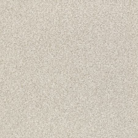 Shaw Floors Nfa/Apg Subtle Charm Tonal II Need A Hug (t)