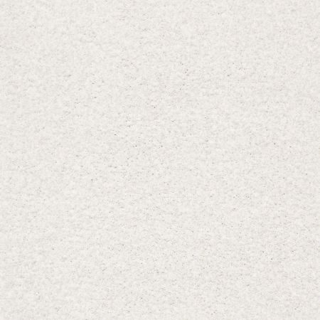 Shaw Floors Nfa/Apg Subtle Charm Tonal II Wedding Day (t)