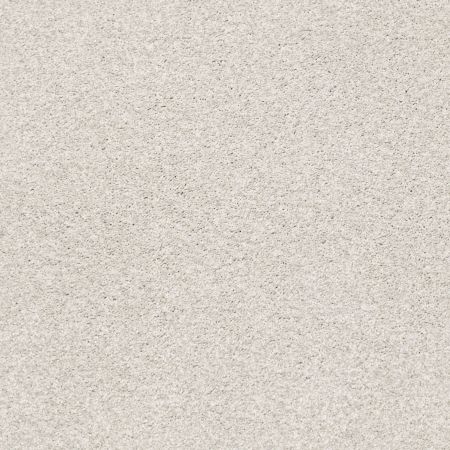 Shaw Floors Nfa/Apg Subtle Charm Tonal II Whitewashed Frame (t)