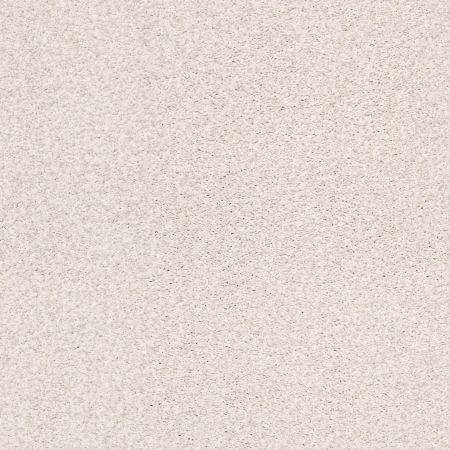 Shaw Floors Nfa/Apg Subtle Charm Tonal II Cake Frosting (t)