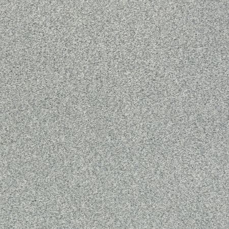 Shaw Floors Nfa/Apg Subtle Charm Tonal II Water's Edge (t)