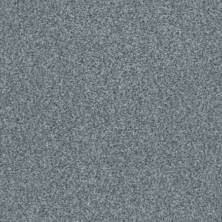 Shaw Floors Nfa/Apg Subtle Charm Tonal II Tropical Hideaway (t)