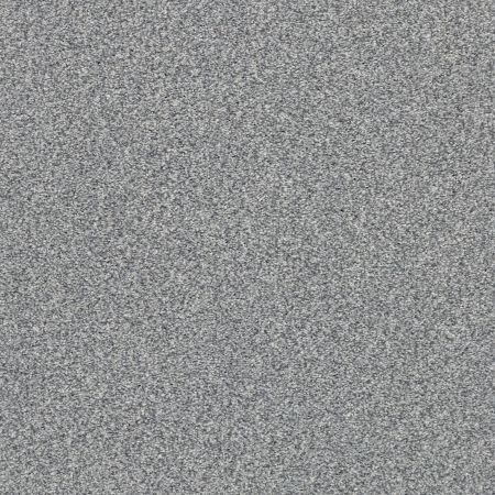 Shaw Floors Nfa/Apg Subtle Charm Tonal II Dolphin Sighting (t)