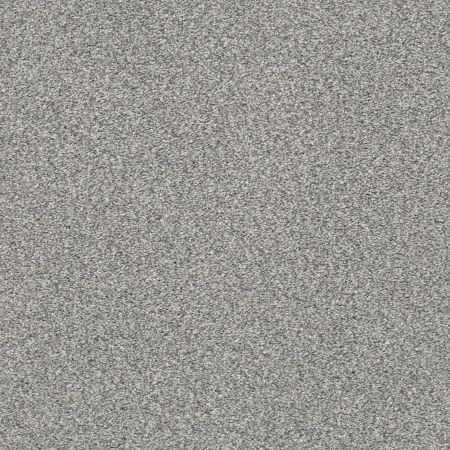 Shaw Floors Nfa/Apg Subtle Charm Tonal II Cool Breeze (t)