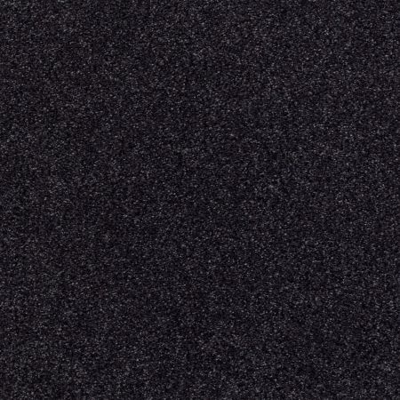 Shaw Floors Nfa/Apg Subtle Charm Tonal II Movie Night (t)