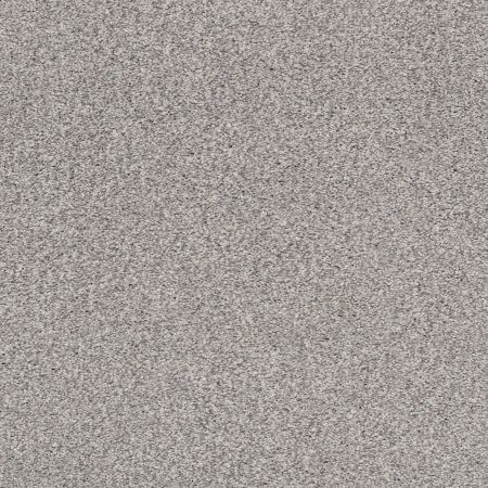 Shaw Floors Nfa/Apg Subtle Charm Tonal II Whisper (t)