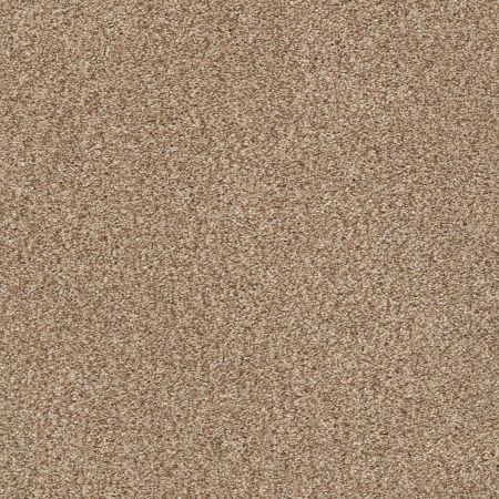 Shaw Floors Nfa/Apg Subtle Charm Tonal II Falling Leaves (t)