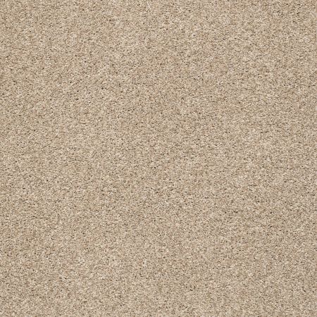 Shaw Floors Nfa/Apg Subtle Charm Tonal II Walk On The Beach (t)