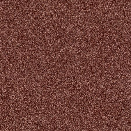 Shaw Floors Nfa/Apg Subtle Charm Tonal II Serene Sunset (t)