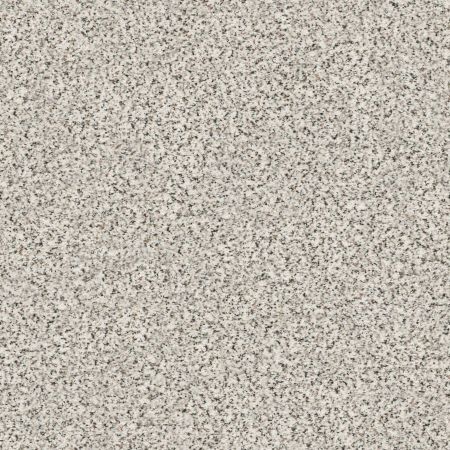 Shaw Floors Nfa/Apg Subtle Charm Accent I Glam Up (a)