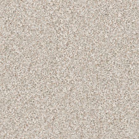 Shaw Floors Nfa/Apg Subtle Charm Accent I Let's Go Karaoke (a)