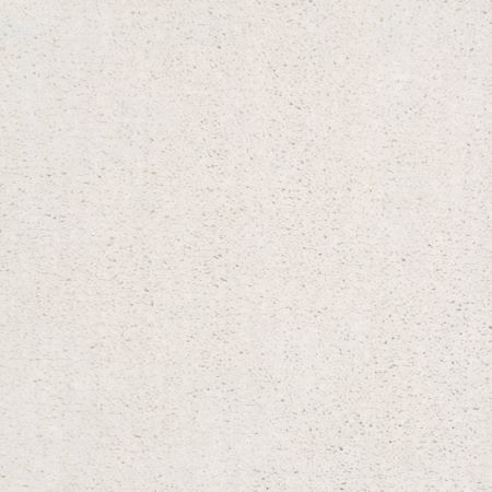 Shaw Floors Nfa/Apg Elation Calm