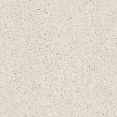 Shaw Floors Nfa/Apg Elation Awaken