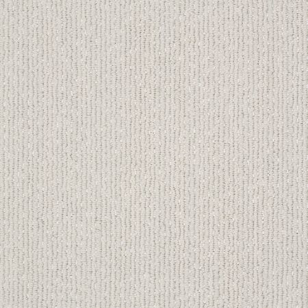 Shaw Floors Nfa/Apg Natural Ambience Meditative