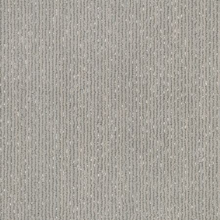 Shaw Floors Nfa/Apg Natural Ambience Shadow