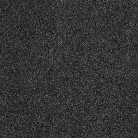 Shaw Floors Nfa/Apg Phenomenal Cape Verde