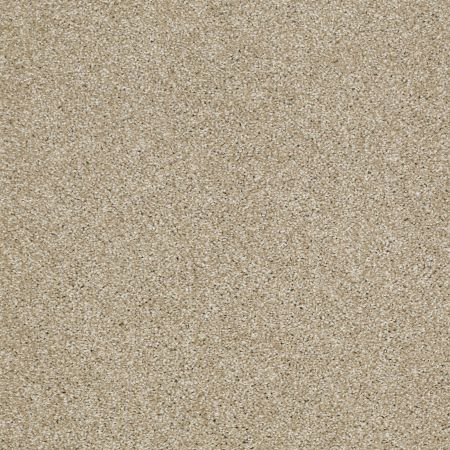 Shaw Floors Nfa/Apg Uncomplicated Wool Skein