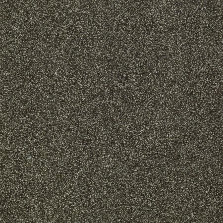 Shaw Floors Nfa/Apg Uncomplicated Garden Retreat