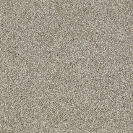 Shaw Floors Nfa/Apg Uncomplicated Gray Flannel