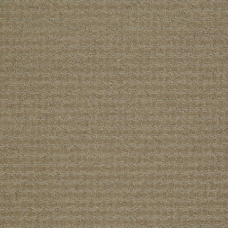 Shaw Floors Nfa/Apg World View Prairie