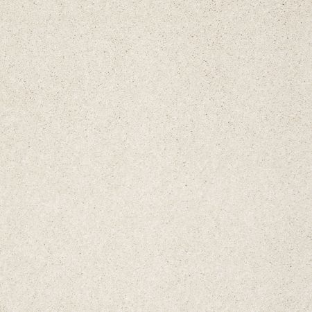 Shaw Floors Nfa/Apg Graceful Texture Pearl Glaze