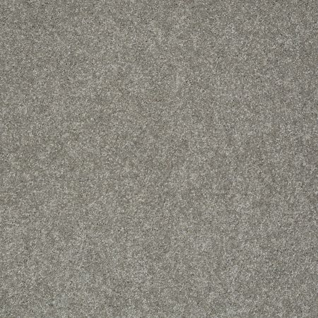 Shaw Floors Nfa/Apg Graceful Texture London