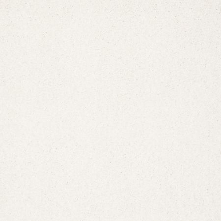 Shaw Floors Nfa/Apg Elegant Texture Snow Cap