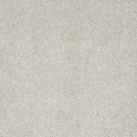 Shaw Floors Nfa/Apg Elegant Texture Waikiki Sand