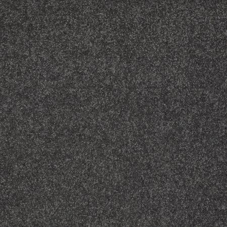 Shaw Floors Nfa/Apg Elegant Texture Victoria Falls