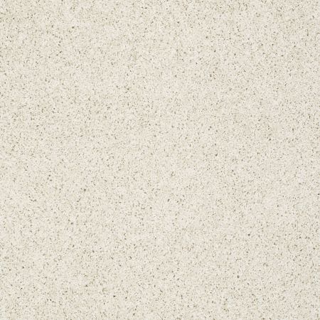 Shaw Floors Nfa/Apg Graceful Twist Cool Breeze