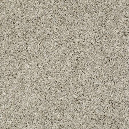 Shaw Floors Nfa/Apg Graceful Twist Warm Oatmeal