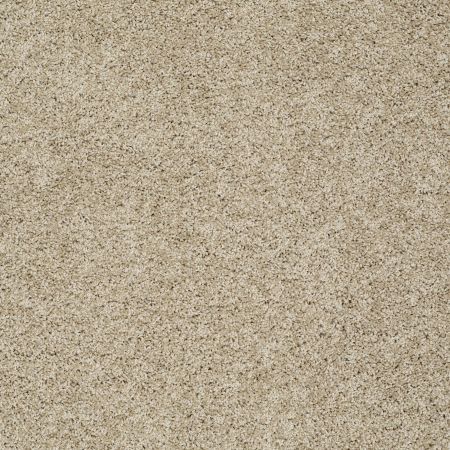 Shaw Floors Nfa/Apg Graceful Twist Riverbank